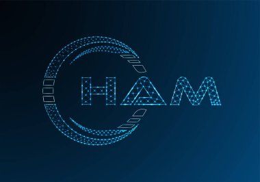 HAM düşük poli harfli logo vektör tasarımı. HAM düşük poli logo tasarımı. 