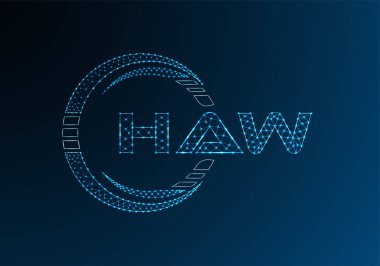HAW düşük poli harfli logo vektör tasarımı. HAW düşük poli logo tasarımı. 