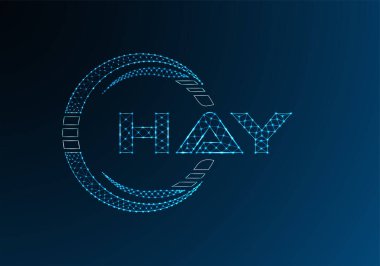 HAY düşük poli harfli logo vektör tasarımı. HAY düşük poli logo tasarımı. 