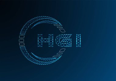 HGI düşük poli harfli logo vektör tasarımı. HGI düşük poli logo tasarımı. 