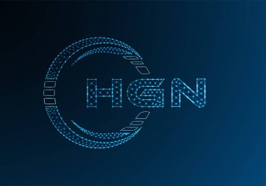 HGN düşük poli harfli logo vektör tasarımı. HGN düşük poli logo tasarımı. 