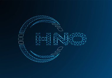 HNO düşük poli harfli logo vektör tasarımı. HNO düşük poli logo tasarımı. 