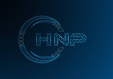 HNP düşük poli harfli logo vektör tasarımı. HNP düşük poli logo tasarımı. 
