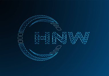 HNW düşük poli harfli logo vektör tasarımı. HNW düşük poli logo tasarımı. 