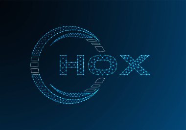 HOX düşük poli harfli logo vektör tasarımı. HOX düşük poli logo tasarımı. 