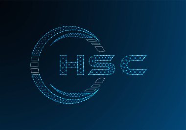 HSC düşük poli harfli logo vektör tasarımı. HSC düşük poli logo tasarımı. 