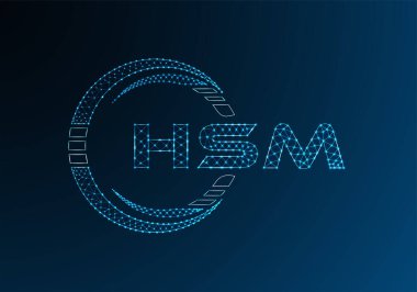 HSM düşük poli harfli logo vektör tasarımı. HSM düşük poli logo tasarımı. 