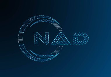 NAD düşük poli harfli logo vektör tasarımı. NAD düşük poli logo tasarımı. Düşük polyester logo.