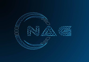 NAG düşük poli harfli logo vektör tasarımı. NAG düşük poli logo tasarımı. Düşük polyester logo.