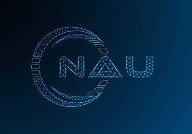 NAU düşük poli harfli logo vektör tasarımı. NAU düşük polyester logo tasarımı. Düşük polyester logo.