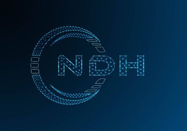 NDH düşük poli harfli logo vektör tasarımı. NDH düşük poli logo tasarımı. Düşük polyester logo.