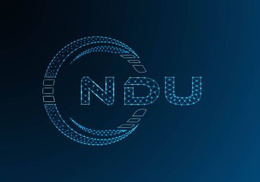 NDU düşük poli harfli logo vektör tasarımı. NDU düşük polyester logo tasarımı. Düşük polyester logo.