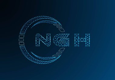 NGH düşük poli harfli logo vektör tasarımı. NGH düşük polyester logo tasarımı. Düşük polyester logo.