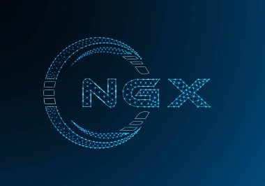 NGX düşük poli harfli logo vektör tasarımı. NGX düşük poli logo tasarımı. Düşük polyester logo.