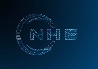 NHE düşük poli harfli logo vektör tasarımı. NHE düşük poli logo tasarımı. Düşük polyester logo.