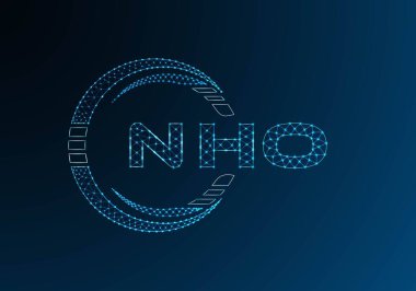 NHO düşük poli harfli logo vektör tasarımı. NHO düşük polyester logo tasarımı. Düşük polyester logo.