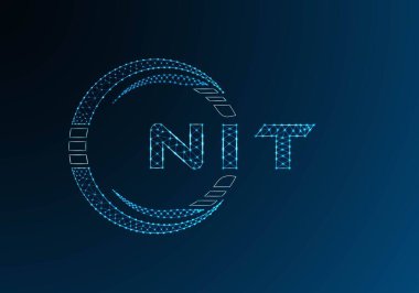 NIT düşük poli harfli logo vektör tasarımı. NIT düşük polyester logo tasarımı. Düşük polyester logo.