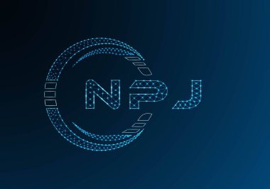 NPJ düşük poli harfli logo vektör tasarımı. NPJ düşük poli logo tasarımı. Düşük polyester logo.