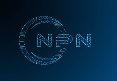 NPN düşük poli harfli logo vektör tasarımı. NPN düşük polyester logo tasarımı. Düşük polyester logo.