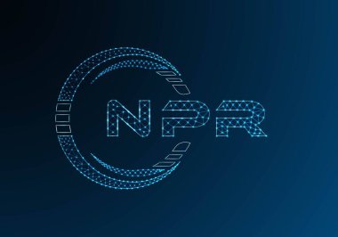 NPR düşük poli harfli logo vektör tasarımı. NPR düşük polyester logo tasarımı. Düşük polyester logo.