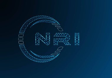 NRI düşük poli harfli logo vektör tasarımı. NRI düşük polyester logo tasarımı. Düşük polyester logo.