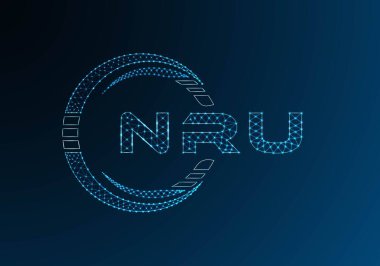 NRU düşük poli harfli logo vektör tasarımı. NRU düşük polyester logo tasarımı. Düşük polyester logo.