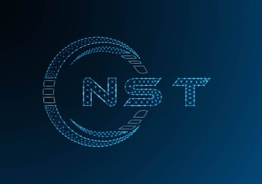 NST düşük poli harfli logo vektör tasarımı. NST düşük polyester logo tasarımı. Düşük polyester logo.