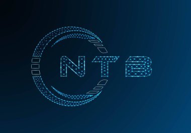 NTB düşük poli harfli logo vektör tasarımı. NTB düşük polyester logo tasarımı. Düşük polyester logo.