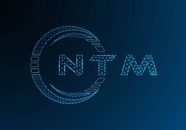 NTM düşük poli harfli logo vektör tasarımı. NTM düşük polyester logo tasarımı. Düşük polyester logo.