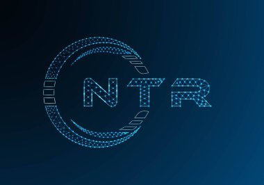 NTR düşük poli harfli logo vektör tasarımı. NTR düşük polyester logo tasarımı. Düşük polyester logo.