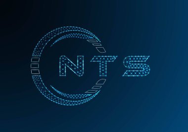 NTS düşük poli harfli logo vektör tasarımı. NTS düşük polyester logo tasarımı. Düşük polyester logo.