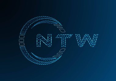 NTW düşük poli harfli logo vektör tasarımı. NTW düşük polyester logo tasarımı. Düşük polyester logo.