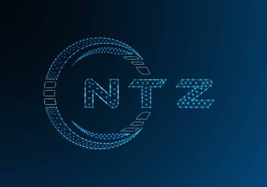 NTZ düşük poli harfli logo vektör tasarımı. NTZ düşük polyester logo tasarımı. Düşük polyester logo.