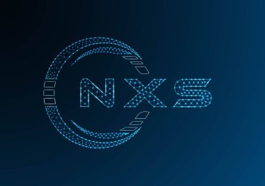 NXS düşük poli harfli logo vektör tasarımı. NXS düşük polyester logo tasarımı. Düşük polyester logo.