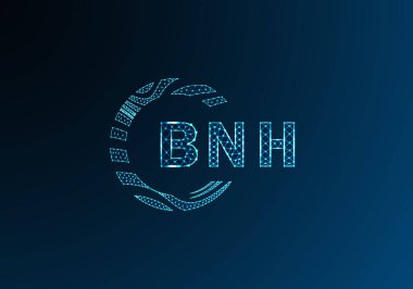 BNH düşük poli harfli logo vektör tasarımı. BNH düşük poli logo tasarımı. BNH benzersiz düşük poli logo tasarımı.