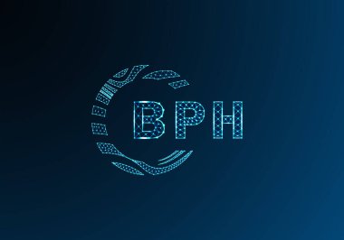 BPH düşük poli harfli logo vektör tasarımı. BPH düşük polyester logo tasarımı. BPH benzersiz düşük poli logo tasarımı.