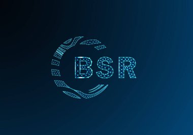 BSR düşük poli harfli logo vektör tasarımı. BSR düşük polyester logo tasarımı. BSR benzersiz düşük polyester logo tasarımı.