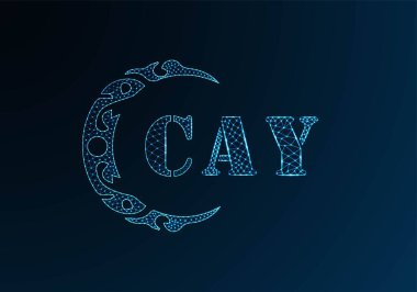 Düşük poli harfli CAY logosu tasarımı. Mavi renk gradyan arkaplan üzerinde CAY harfi logosu düşük polivektör tasarımı. CAY logosu düşük poli tasarımı