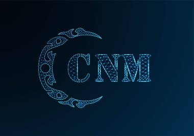 Düşük polyester harfli CNM logosu. CNM harfi logosu düşük poli vektör dizaynı mavi renk gradyan arka planda. CNM logosu düşük poli dekoru