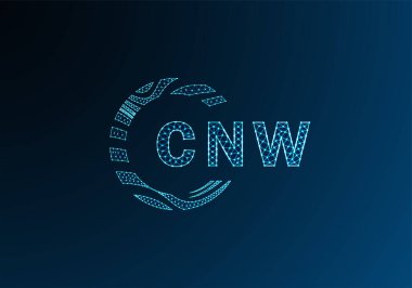 CNW düşük poli harfli logo vektör tasarımı. CNW düşük polyester logo tasarımı. CNW benzersiz düşük polyester logo tasarımı.