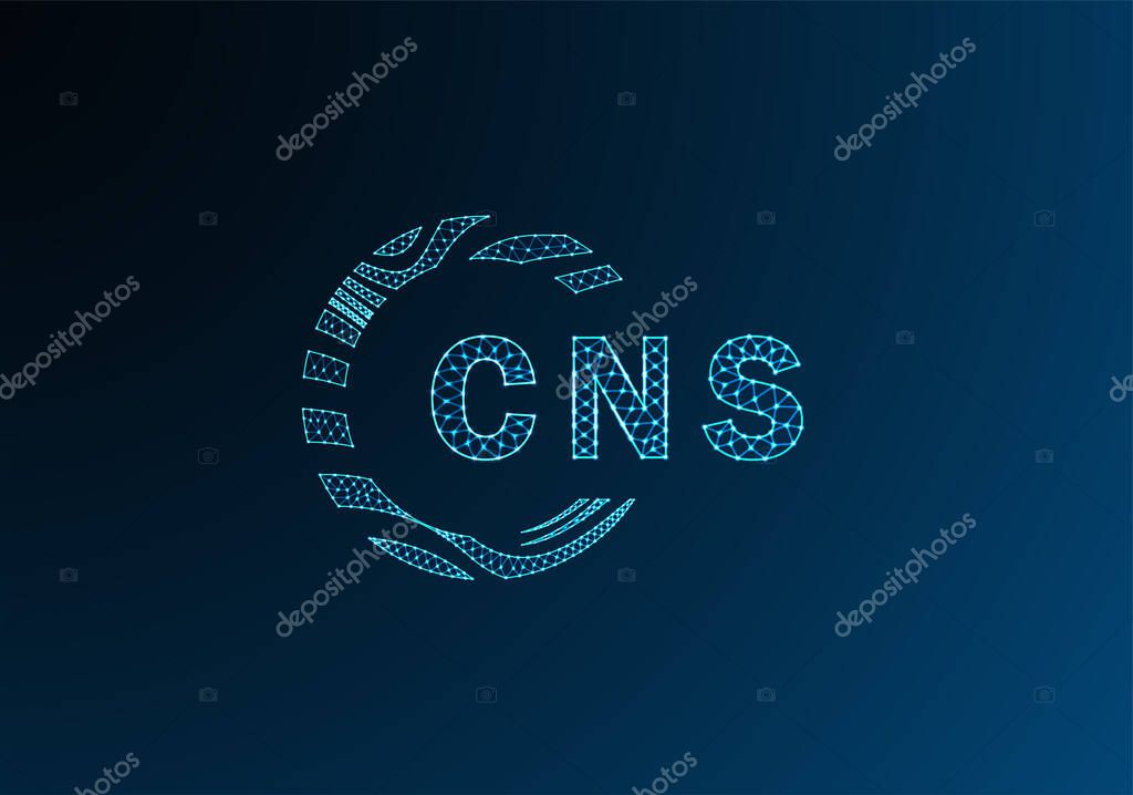 CNS low poly letter logo vector design. CNS lower poly logo design. CNS unique low poly logo design.