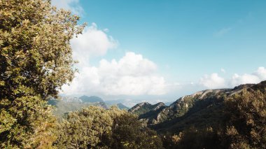 Ormandaki dağda panoramik manzara.