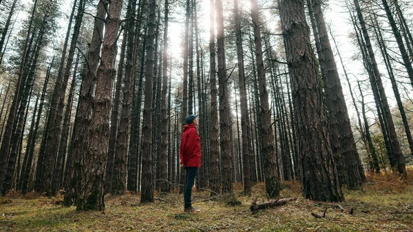 Orang Tua Dengan Jaket Merah Berjalan Hutan Musim Gugur — Stok Foto