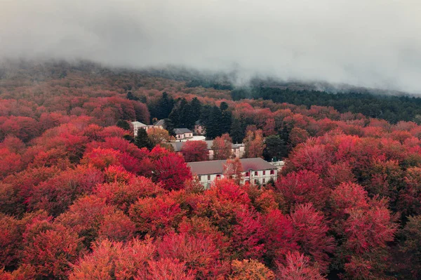 老房子变成了高山空中秋天的树冠 — 图库照片