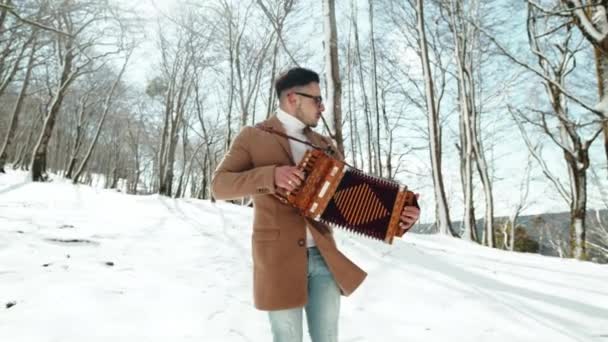 Çocuk Tipik Calabria Enstrümanı Akordeon Müzik Tarantellasını Karla Birlikte Dağda — Stok video