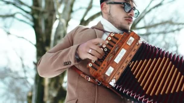 Αγόρι Παίζει Τυπικό Calabrian Ακορντεόν Όργανο Και Μουσική Tarantella Στο — Αρχείο Βίντεο