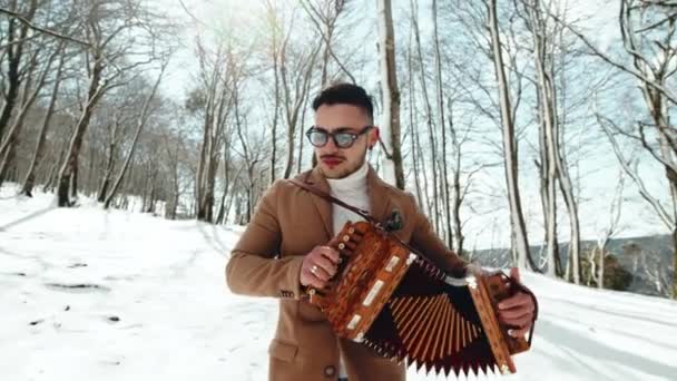 Jongen Speelt Typische Calabriaanse Instrument Accordeon Muziek Tarantella Berg Met — Stockvideo