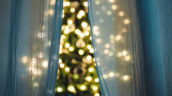 Wind blows between the curtains of a house with Christmas tree.