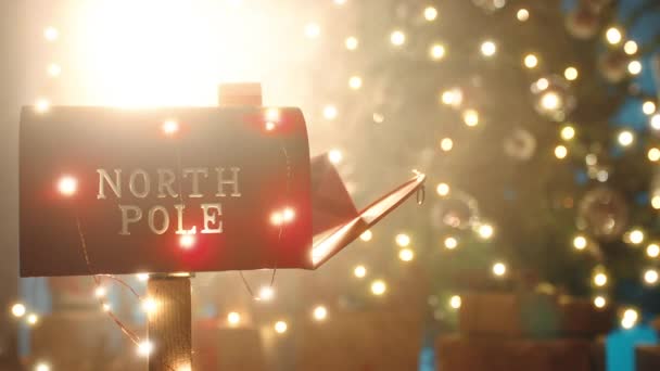 Noel Posta Kutusu Ağaca Karşı — Stok video