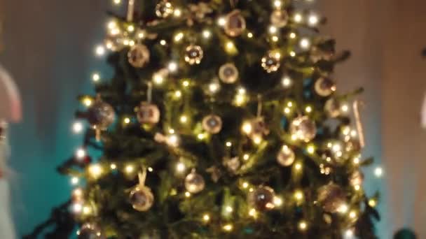 Soldados Quebra Nozes Perto Árvore Natal Dolly Fora — Vídeo de Stock